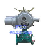 依博羅G941J-10電動襯膠隔膜閥DN20-DN300